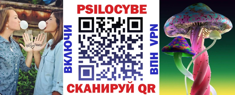 купить наркотик Вязьма Псилоцибиновые грибы Magic Shrooms